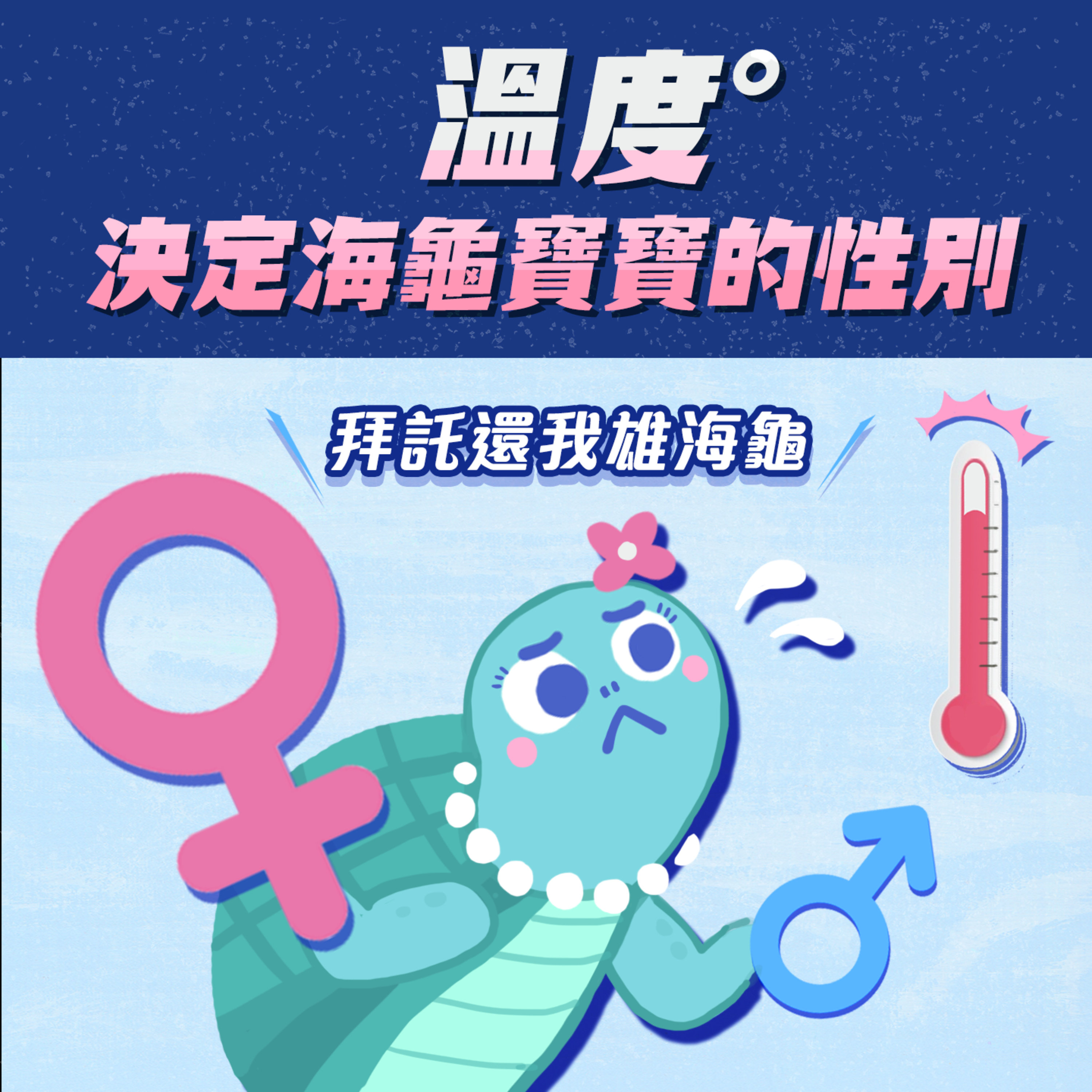 S1.05│溫度決定海龜寶寶的性別?拜託還我雄海龜!