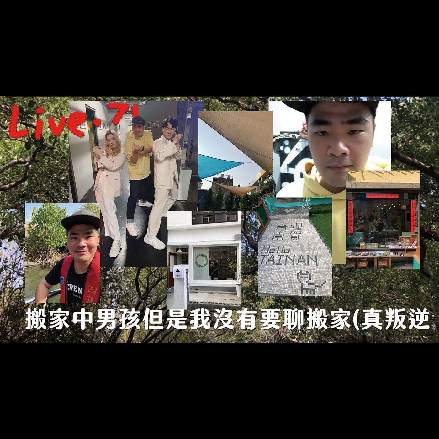 〔蔡哥直播〕#71 搬家中男孩但是我沒有要聊搬家(真叛逆 episode artwork