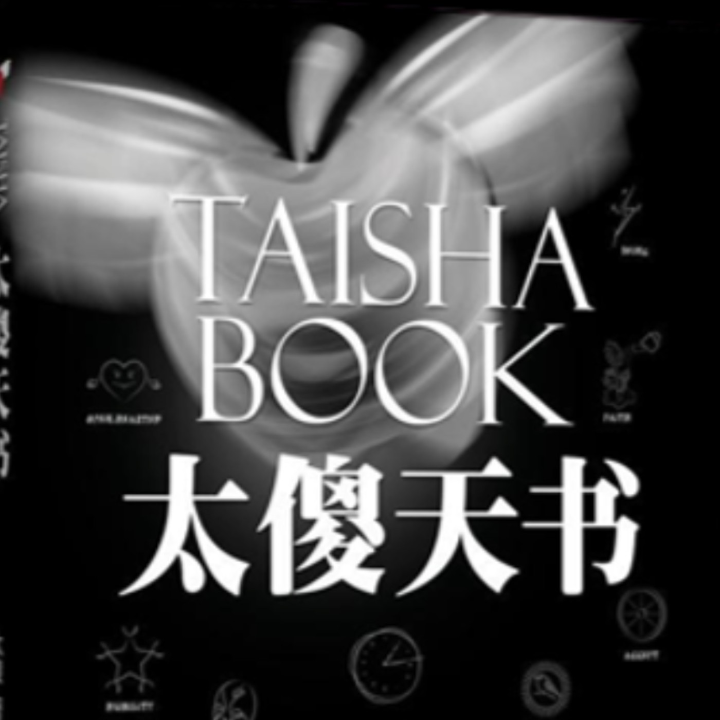 太傻天書