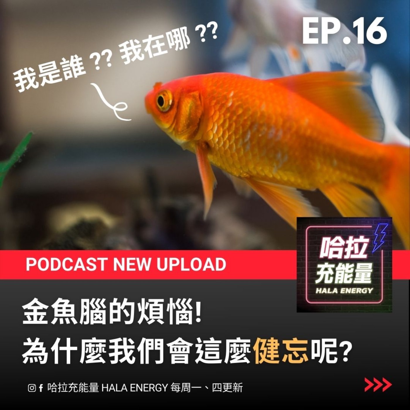 EP16-金魚腦的煩惱!為什麼我們會這麼健忘呢? episode artwork
