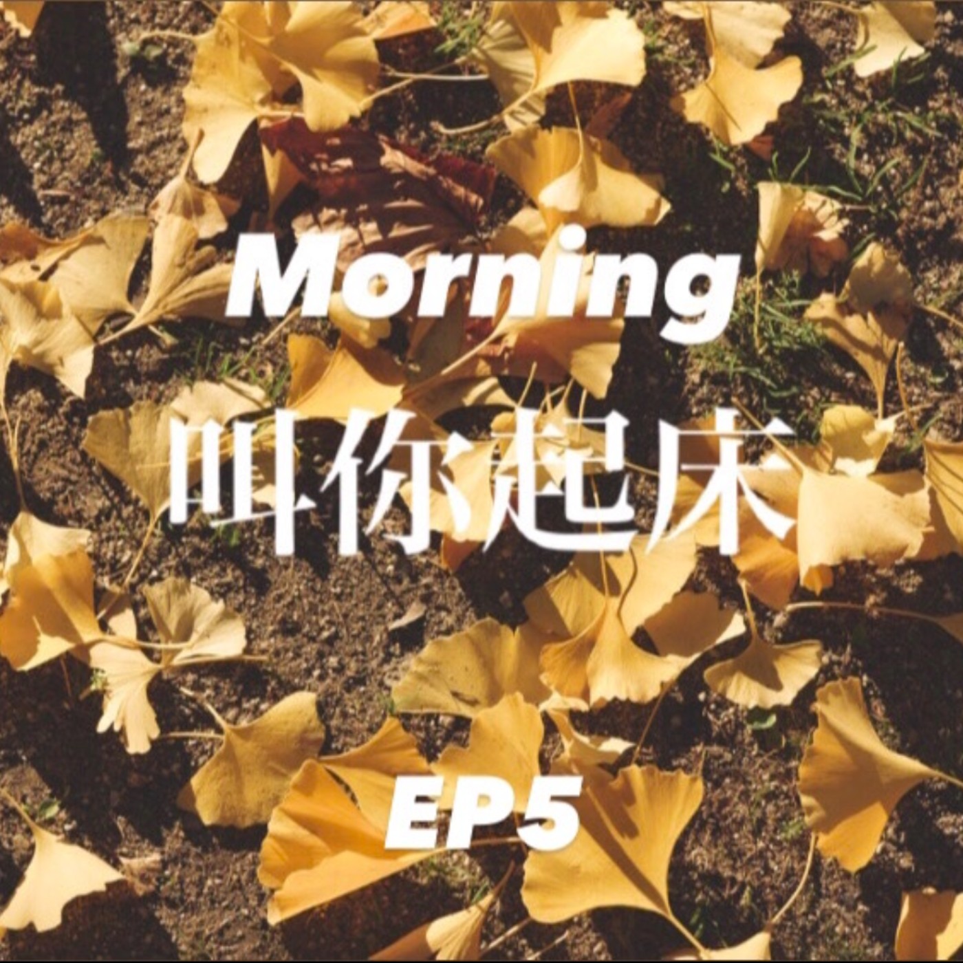 神戶夜間飛行