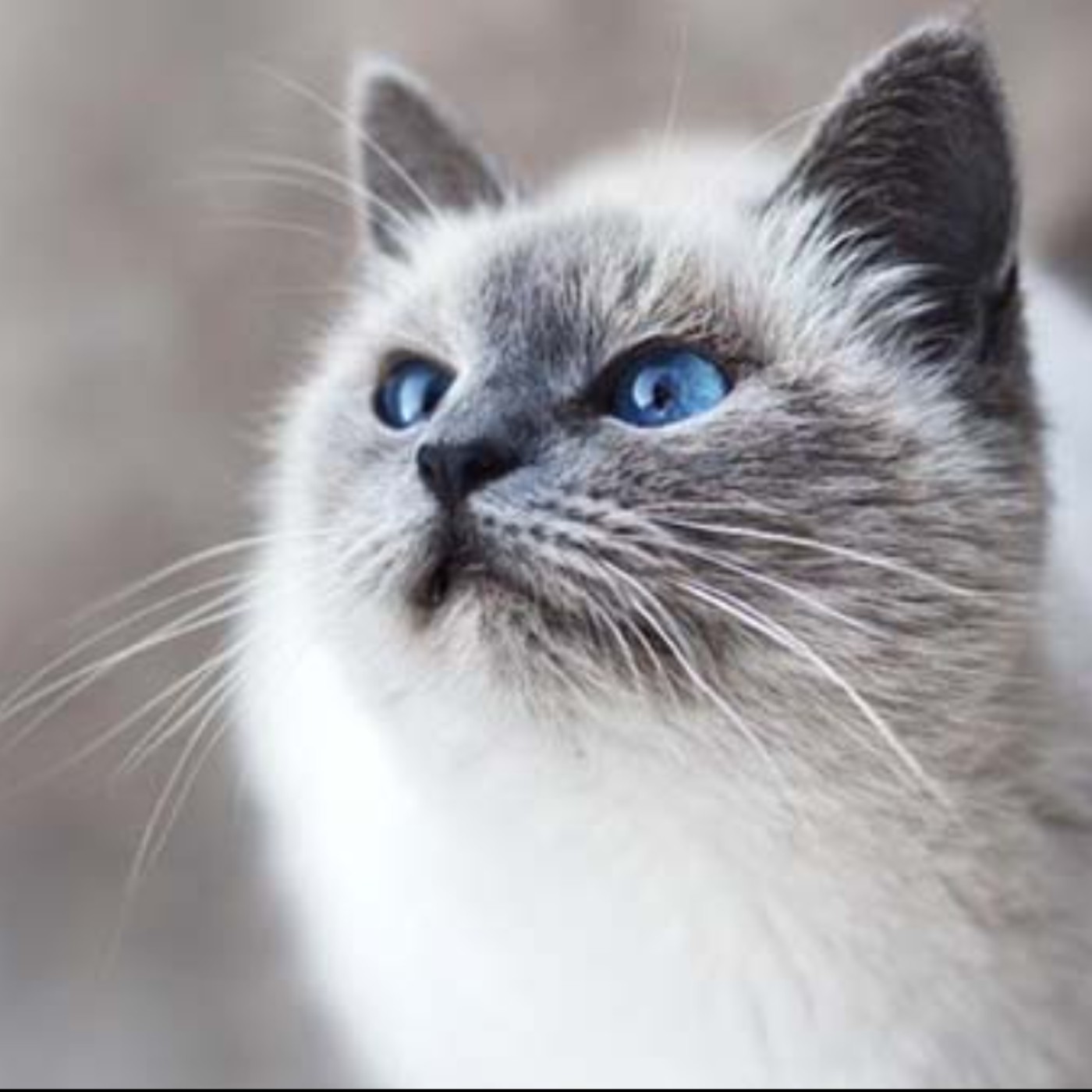 一抹墨痕講乾話