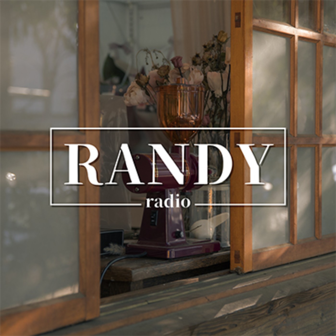 Randy radio