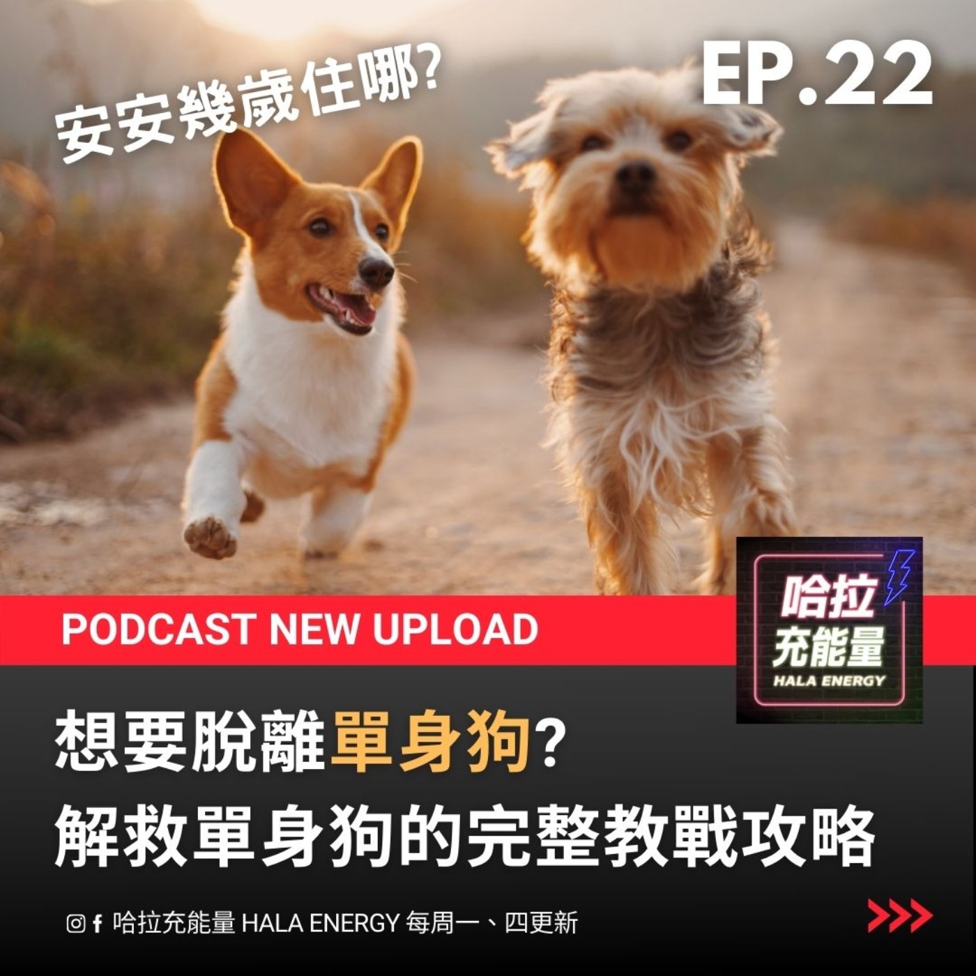 EP22-想要脫離單身狗?解救單身狗的完整教戰功略! episode artwork