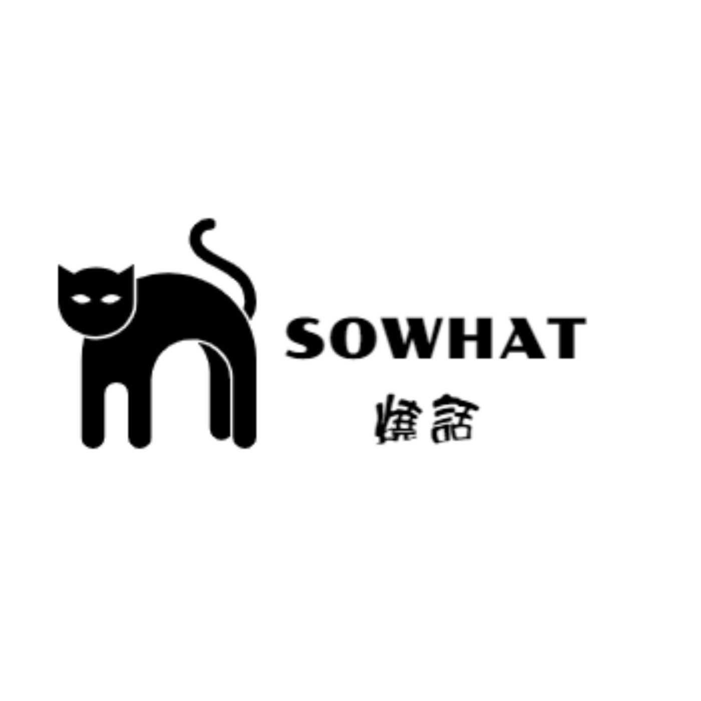 SoWhat燒話