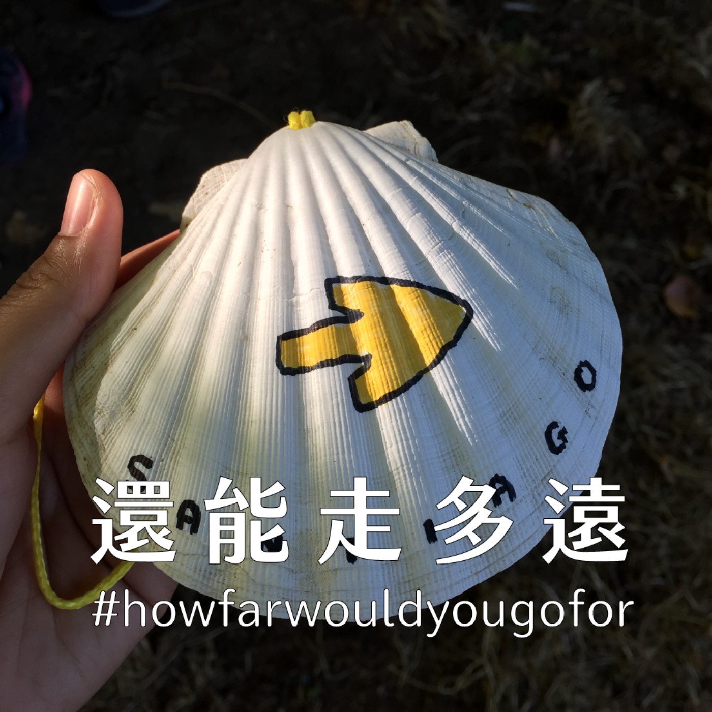 還能走多遠 how far would you go for