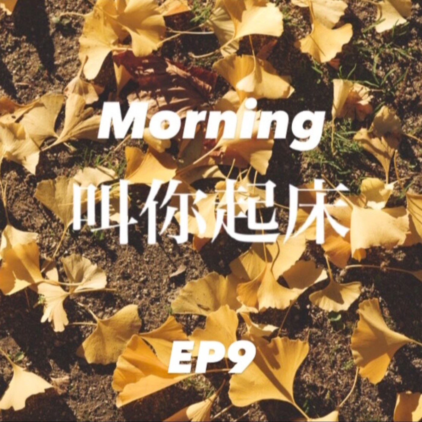 神戶夜間飛行