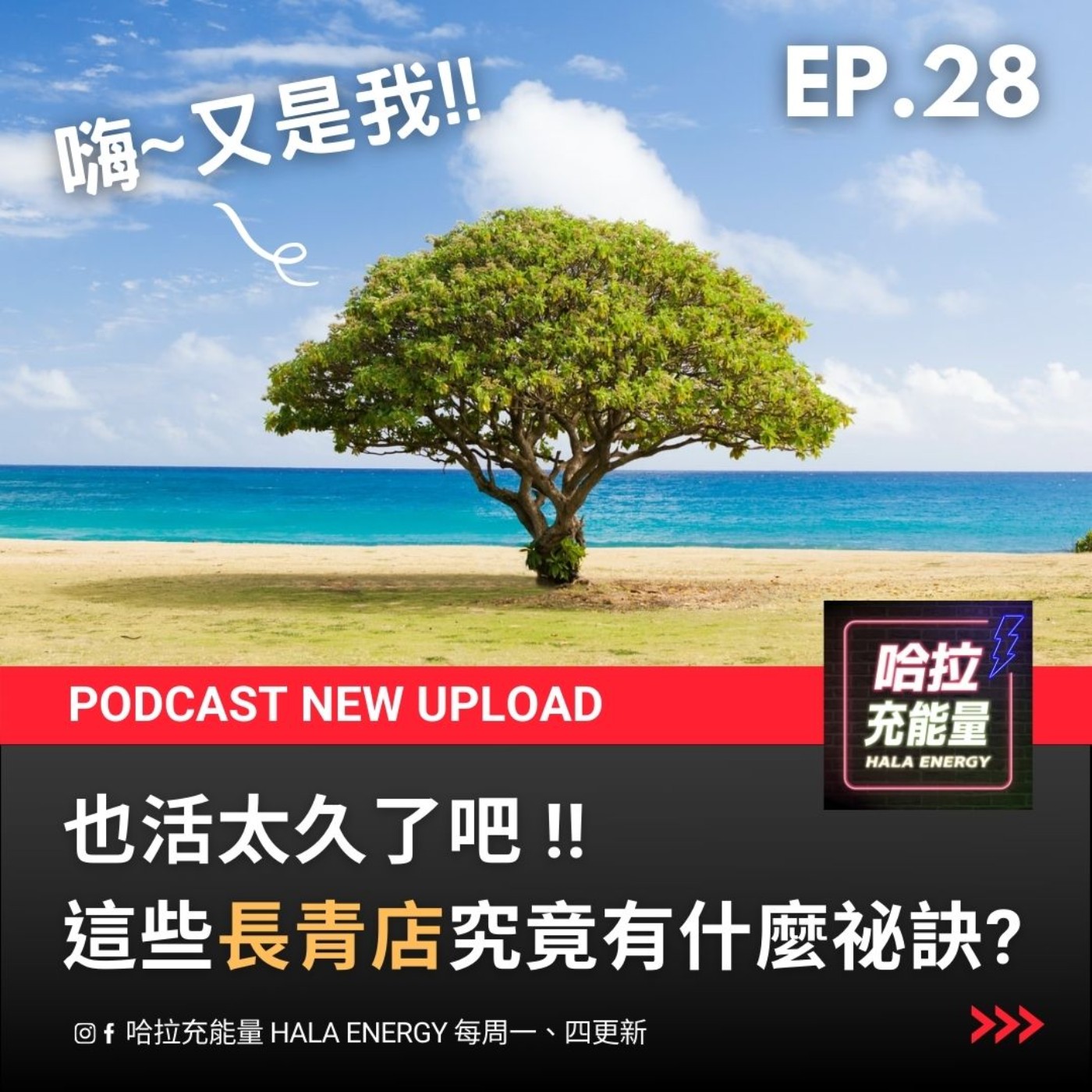EP28-也活太久了吧!這些長青店究竟有什麼祕訣? episode artwork