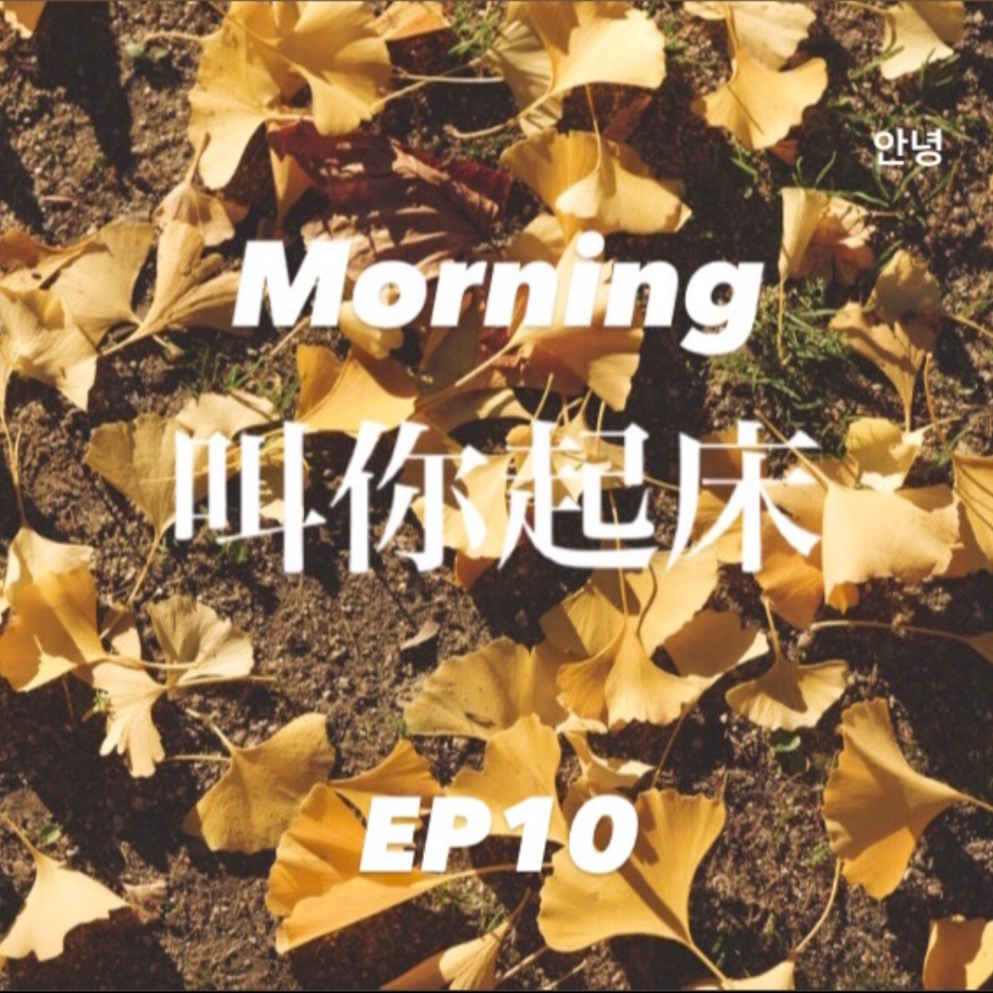 神戶夜間飛行