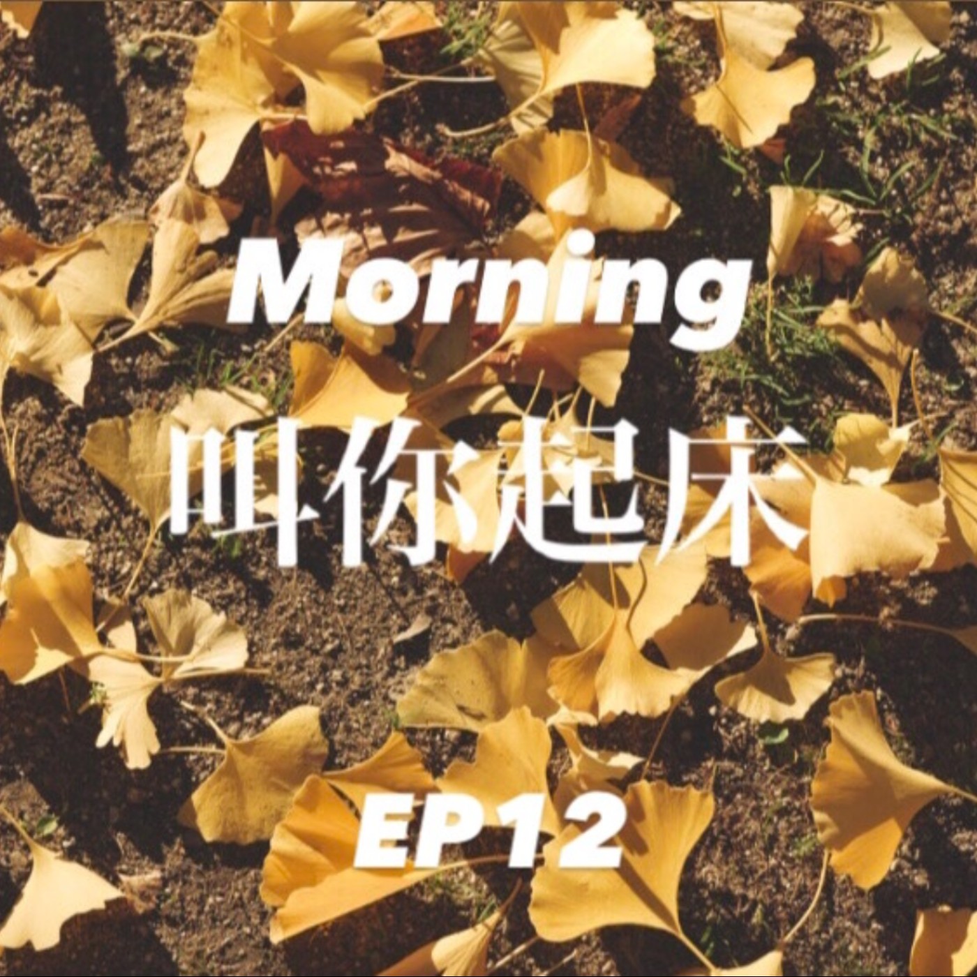 神戶夜間飛行