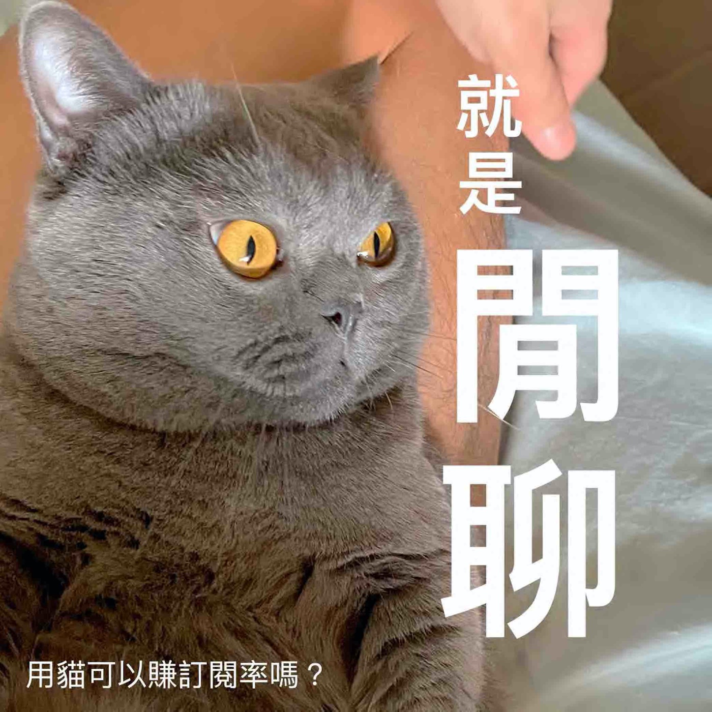 就是閒聊,聽聽巴老師的聲音也好