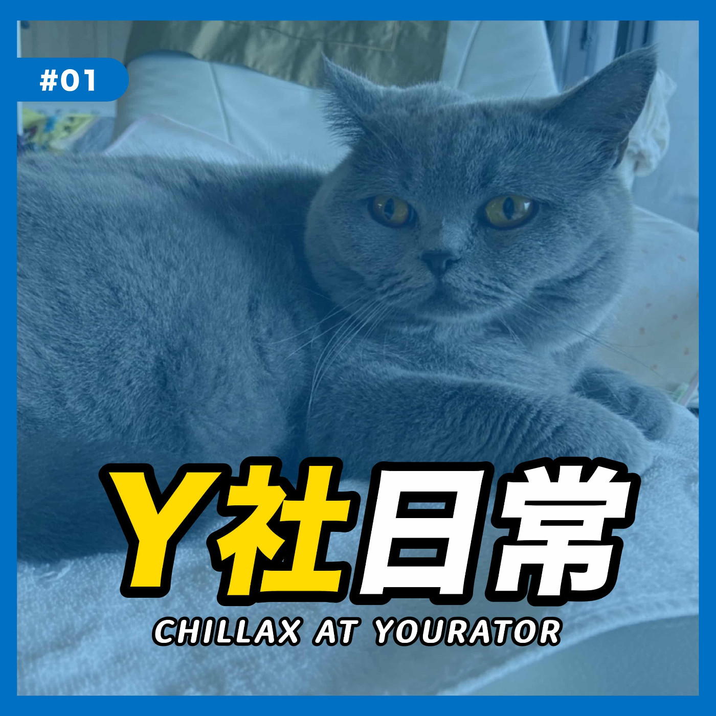 cover of episode Y社日常#01 ｜博覽會求職者聽這邊！Y社獵頭履歷瀏覽心得大公開！