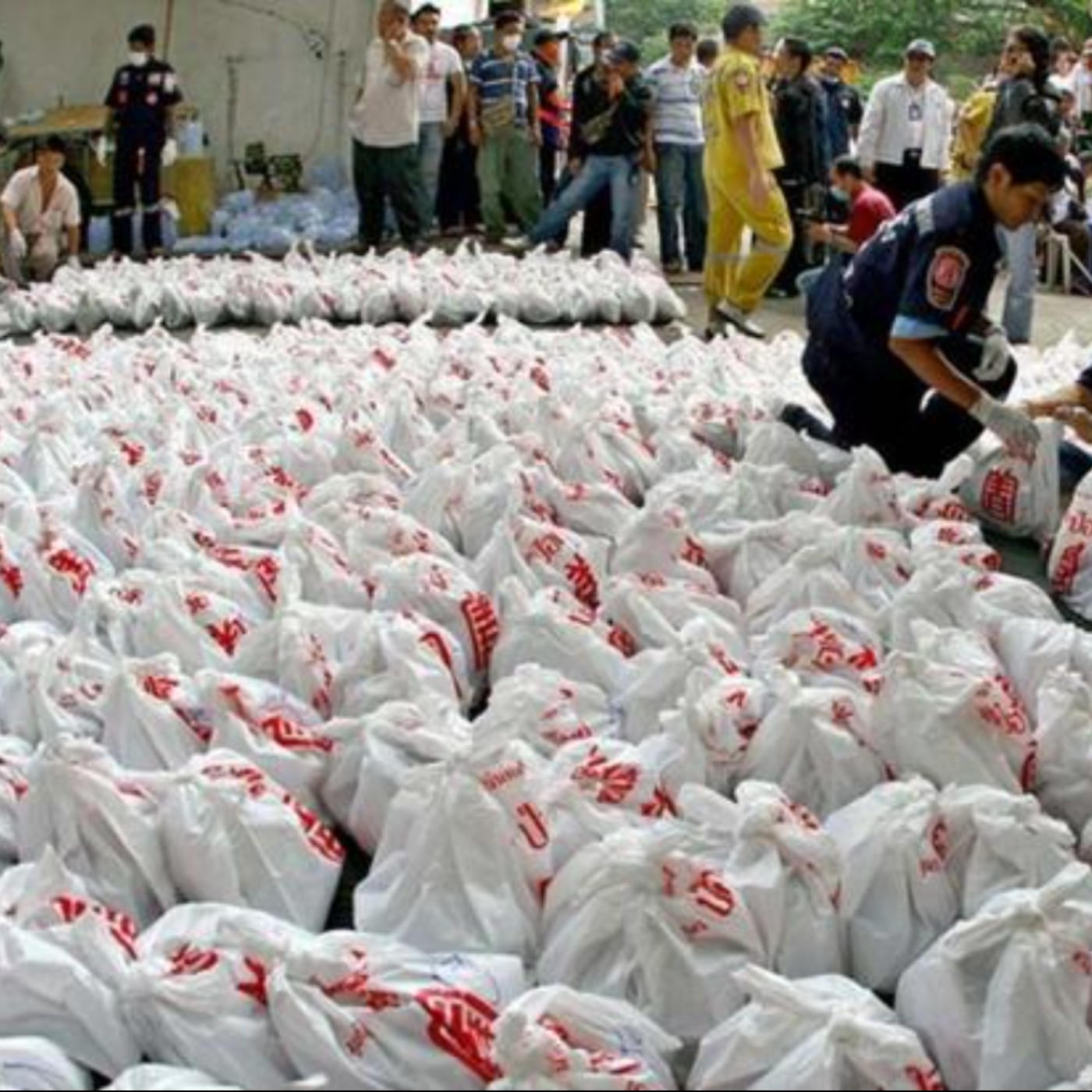 那些關於泰國信仰的大小事-屍胎的靈異事件;我經歷過的2000具屍胎靈異事件與屍胎買賣