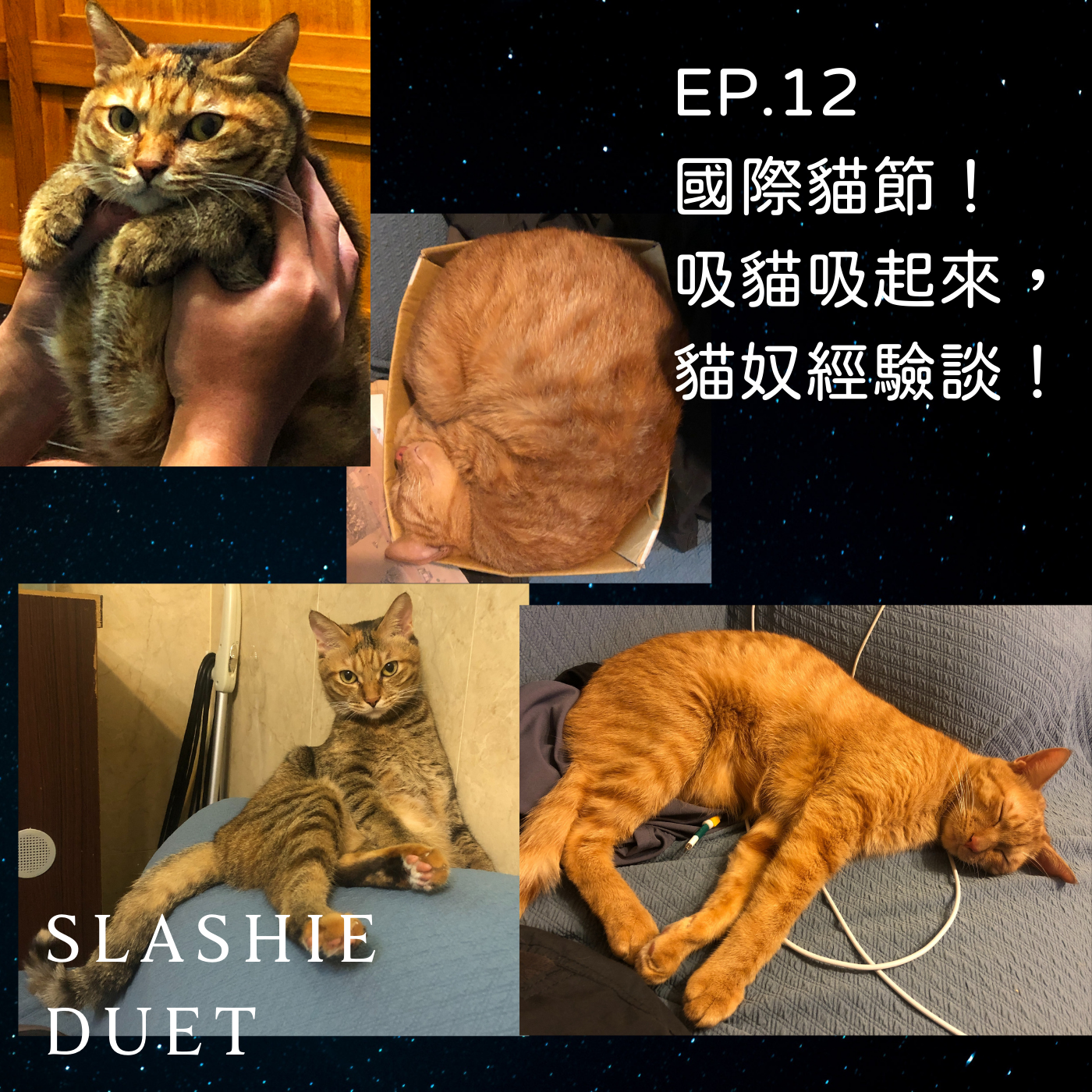 Ep.12 《隨便說說》國際貓節！吸貓吸起來，貓奴經驗談！ u2013 斜／廢青 