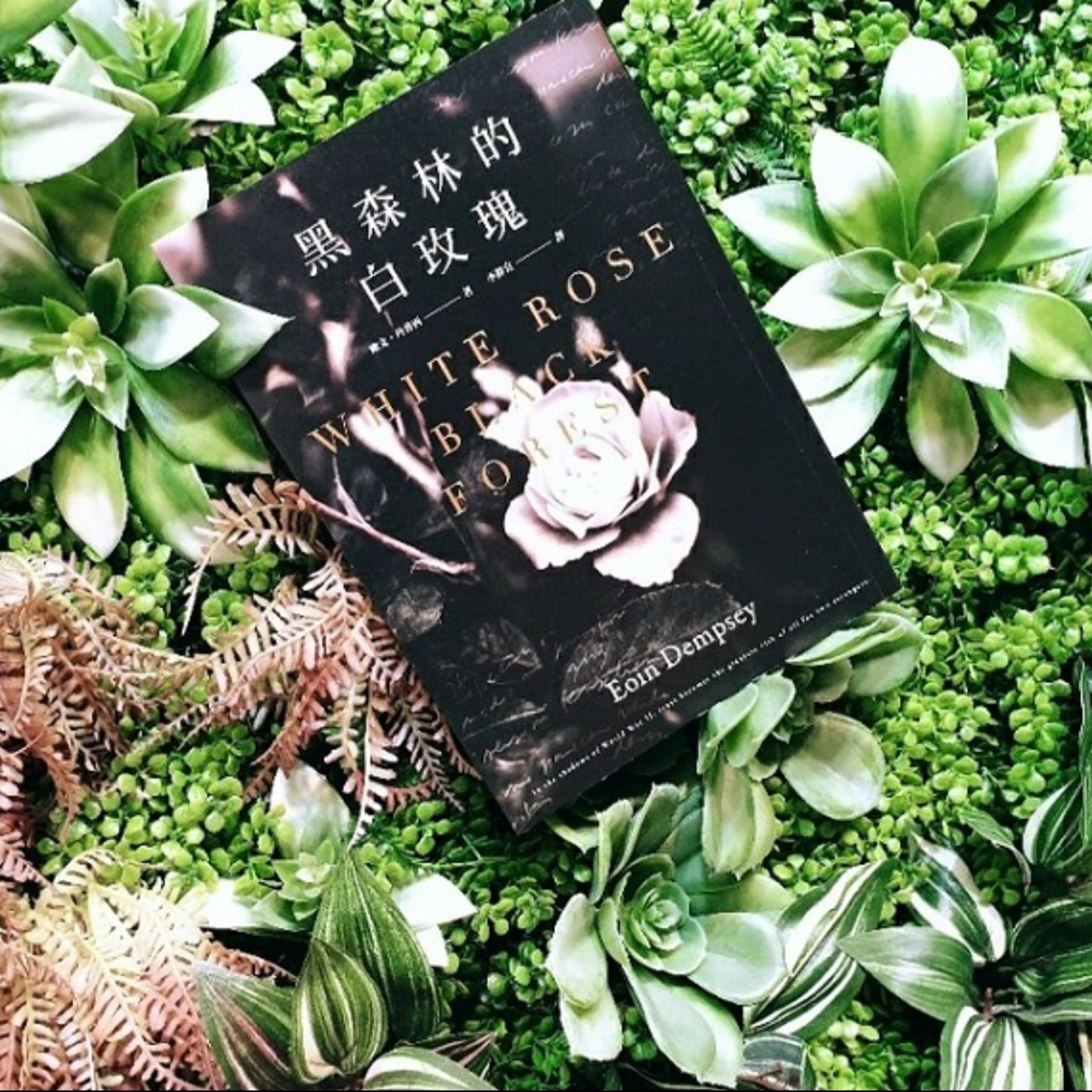 閱讀探戈 書富比鑑賞會 Mymusic不只音樂 還有podcast