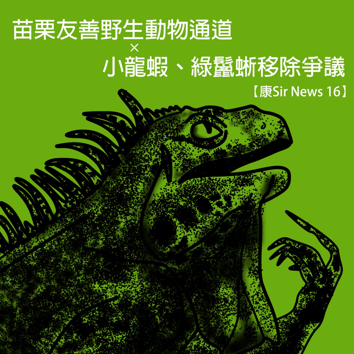 【康Sir News 16】苗栗友善野生動物通道 × 小龍蝦、綠鬣蜥移除爭議 episode artwork