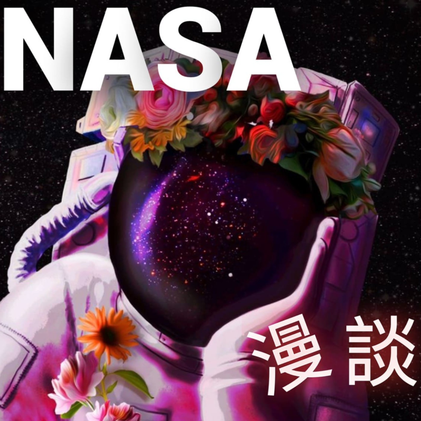 NASA 漫談