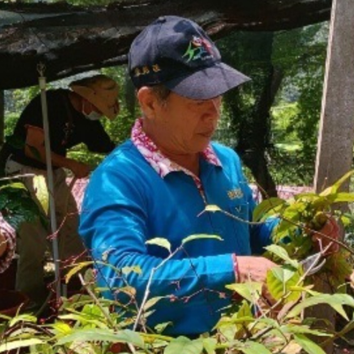 EP12 <生活> 東勢林場張銘鐘副場長談四月初起到五月初來去東勢林場賞螢趣 episode artwork