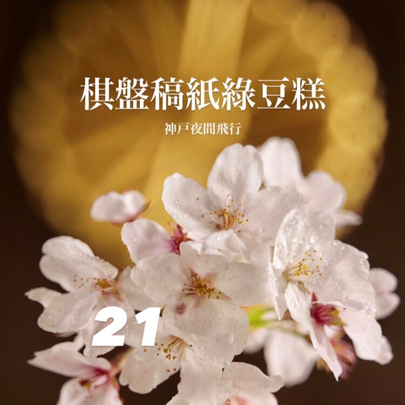 神戶夜間飛行