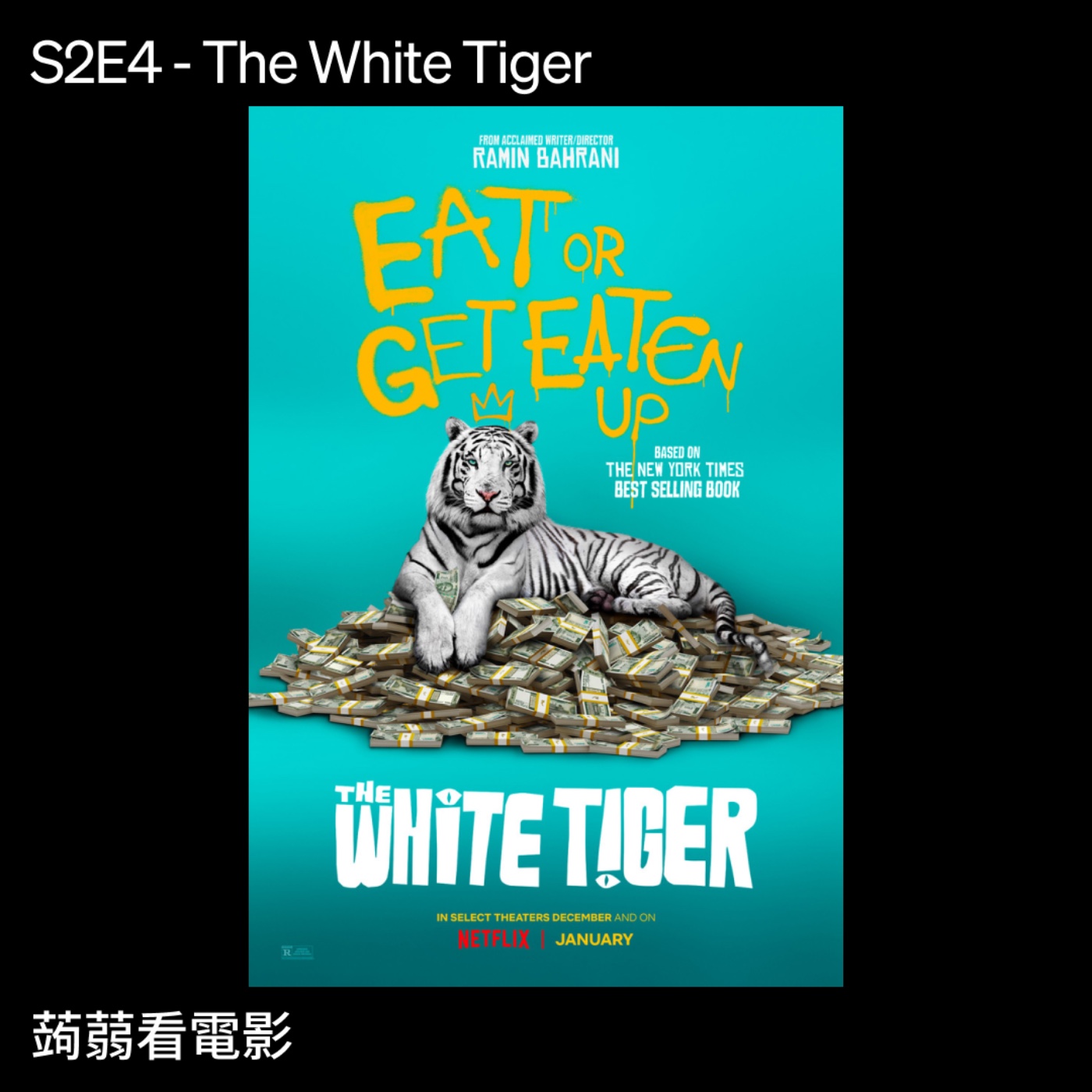 文化蒟蒻 | Culture Jelly