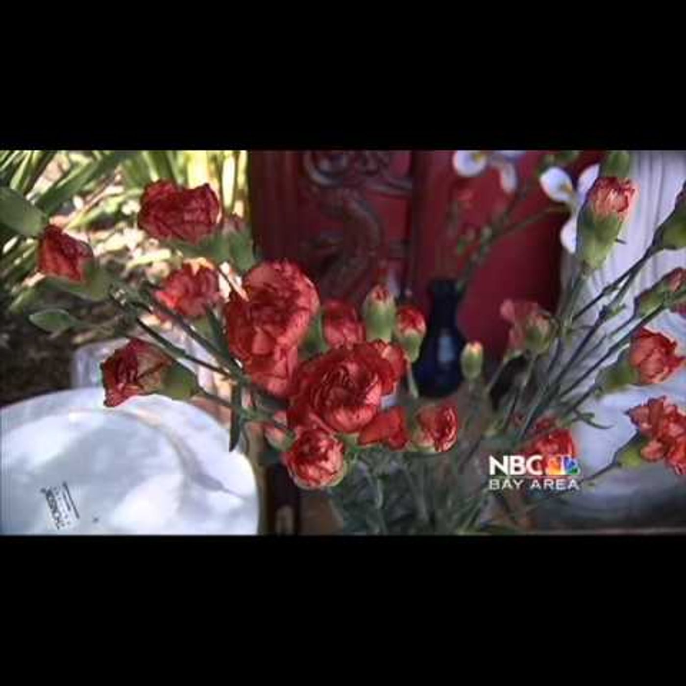 淨化的力量 Little Buddha helps clean up neighborhood episode artwork