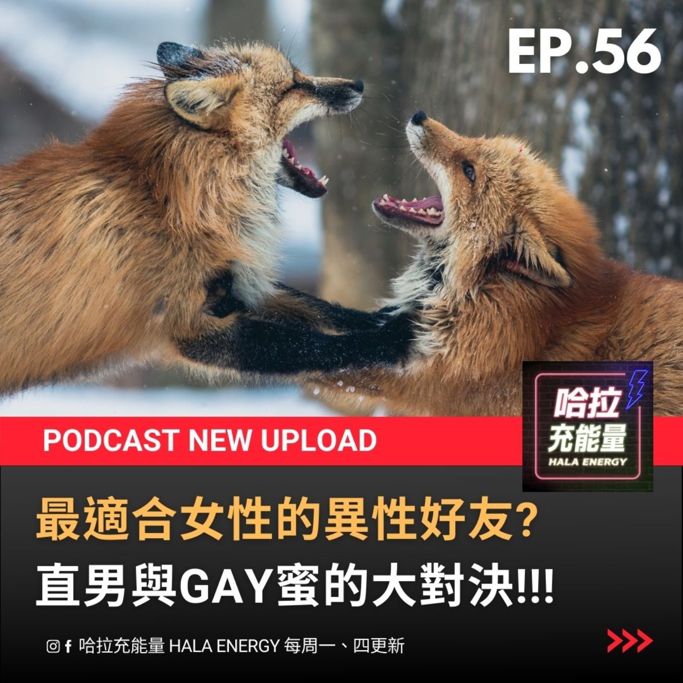 EP56-最適合女性的異性好友?直男與GAY蜜的大對決! episode artwork