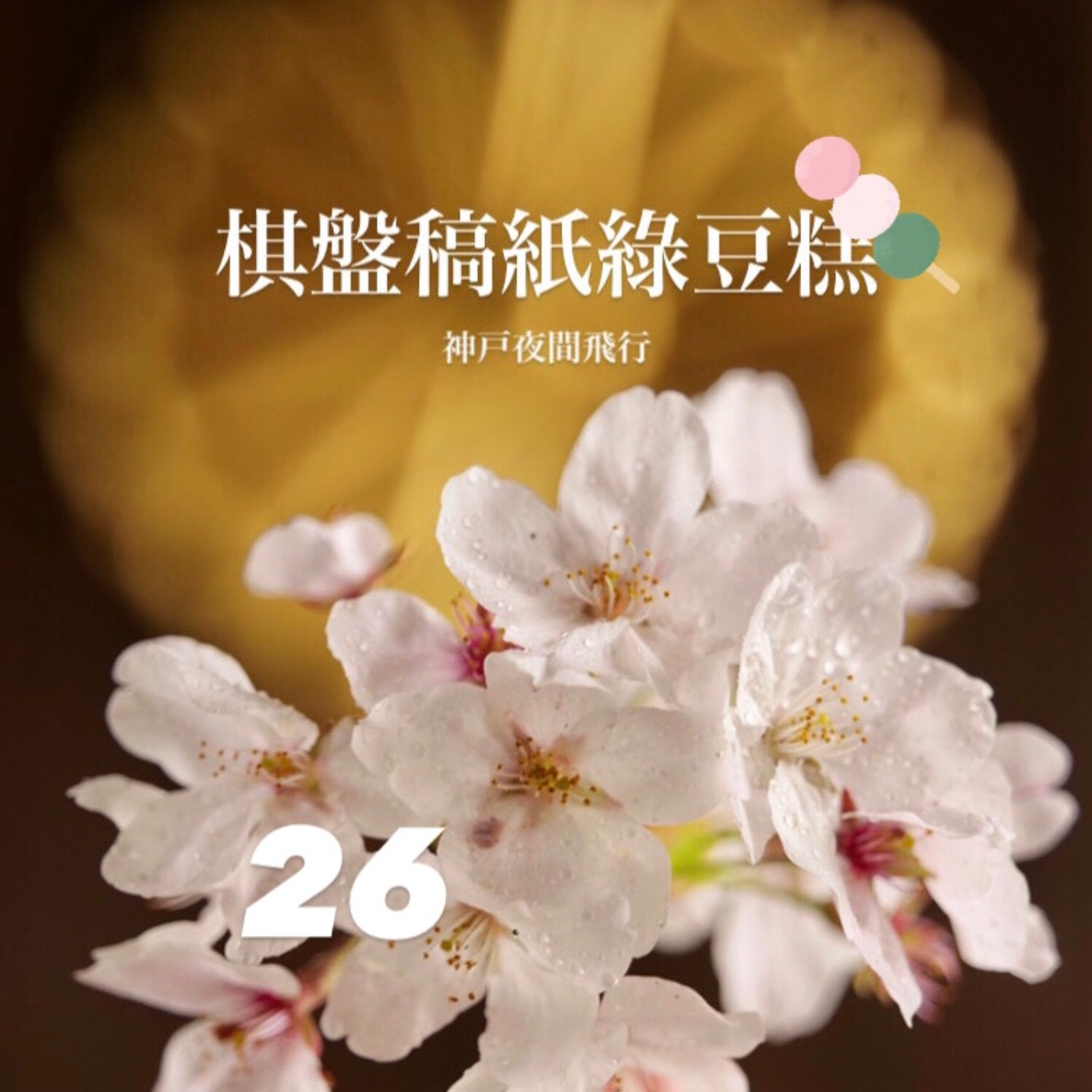 神戶夜間飛行