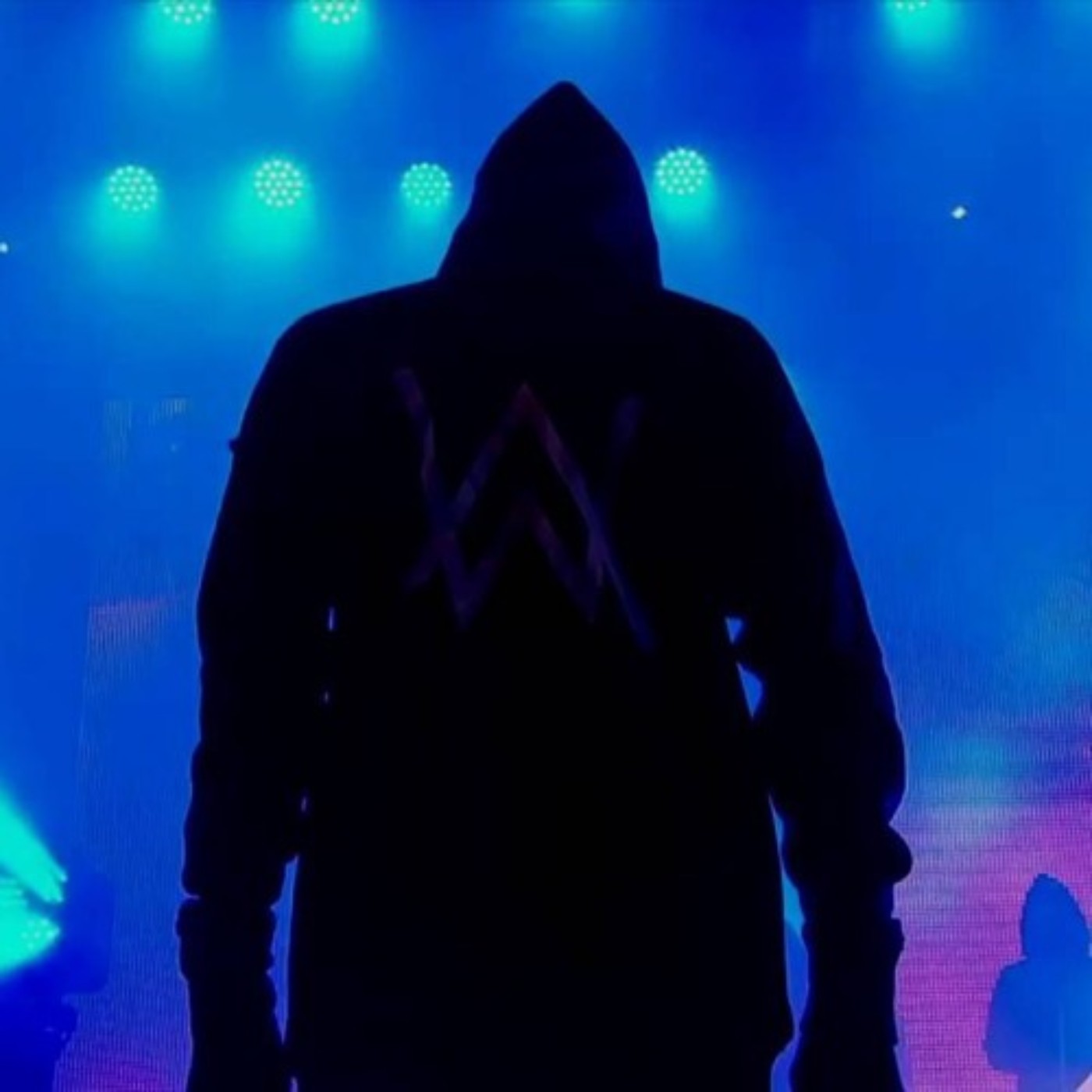 [mashup] Flevans, Laura Vane - Ex-Factor X Alan Walker - Faded