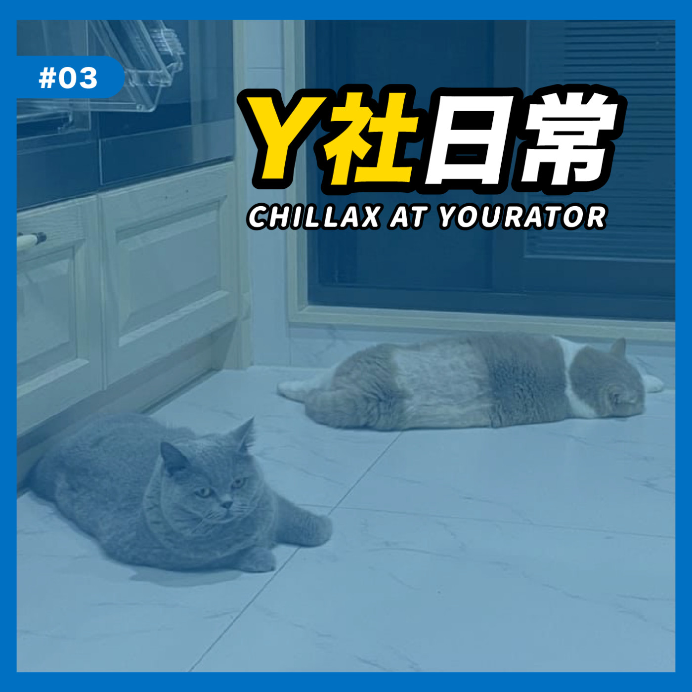 cover of episode Y社日常#03 ｜Y 社首頁更新了，背後藏著 UI/UX 團隊多少小心思呢？