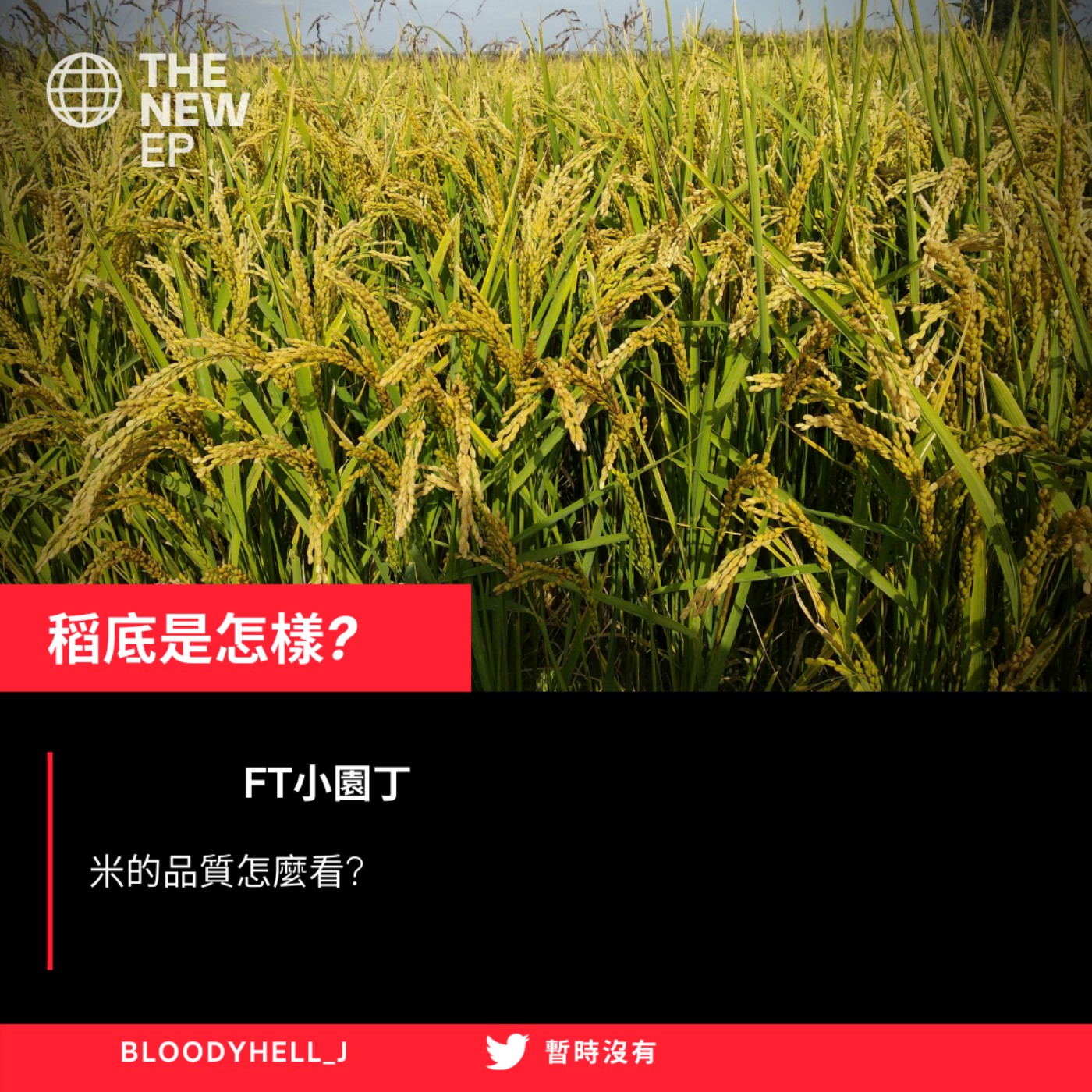 cover of episode 稻底是怎樣?
