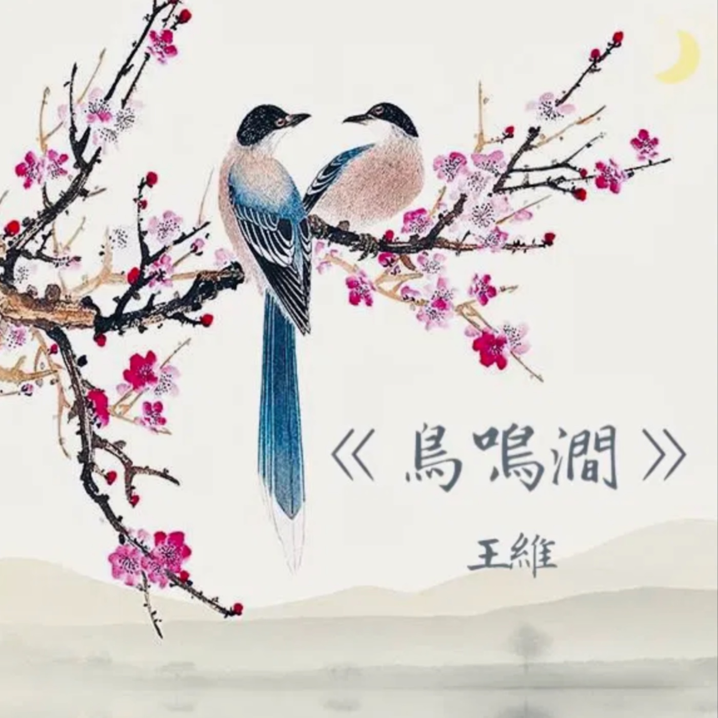 鳥鳴澗 episode artwork