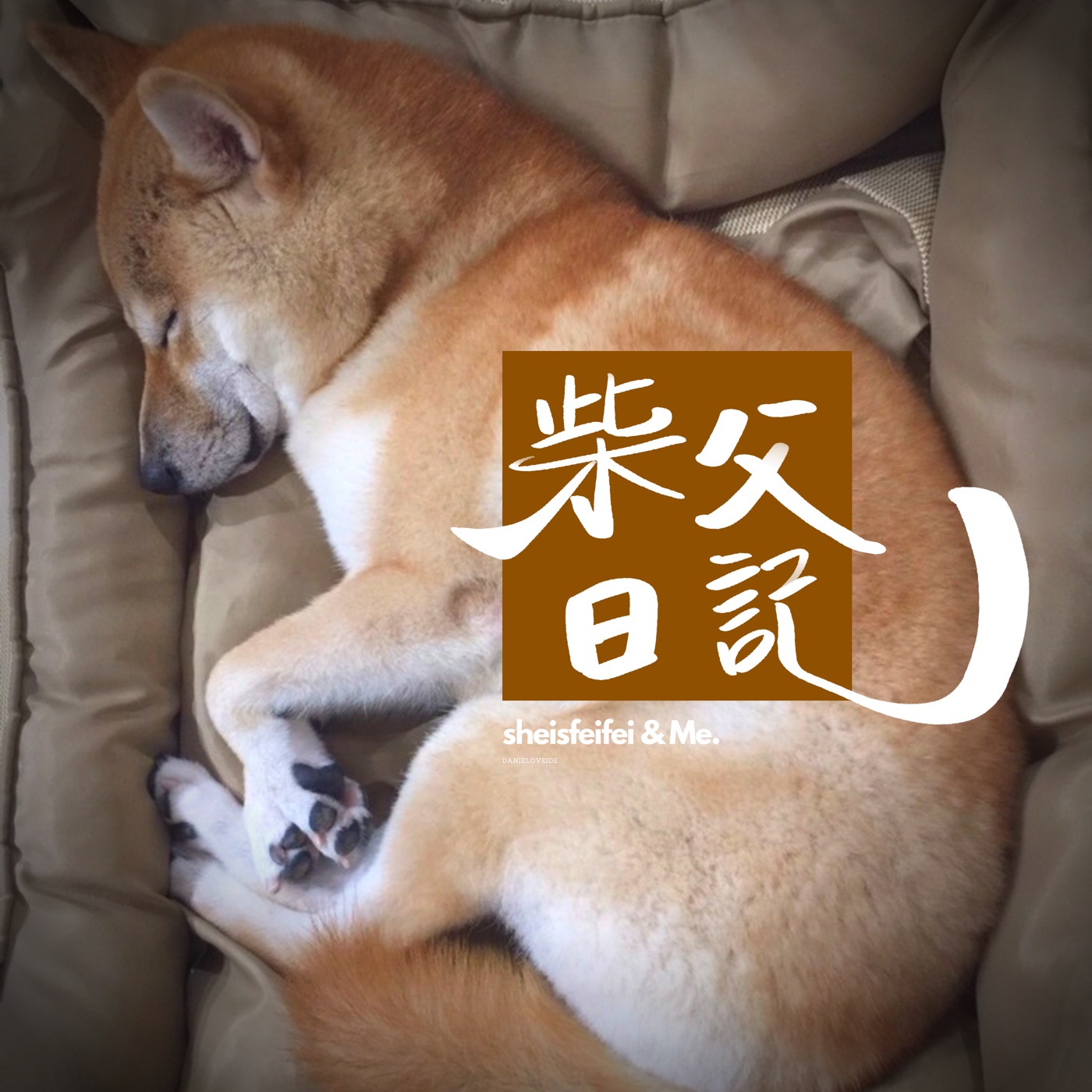 新一頁ep3：打破柴犬的粉紅泡泡