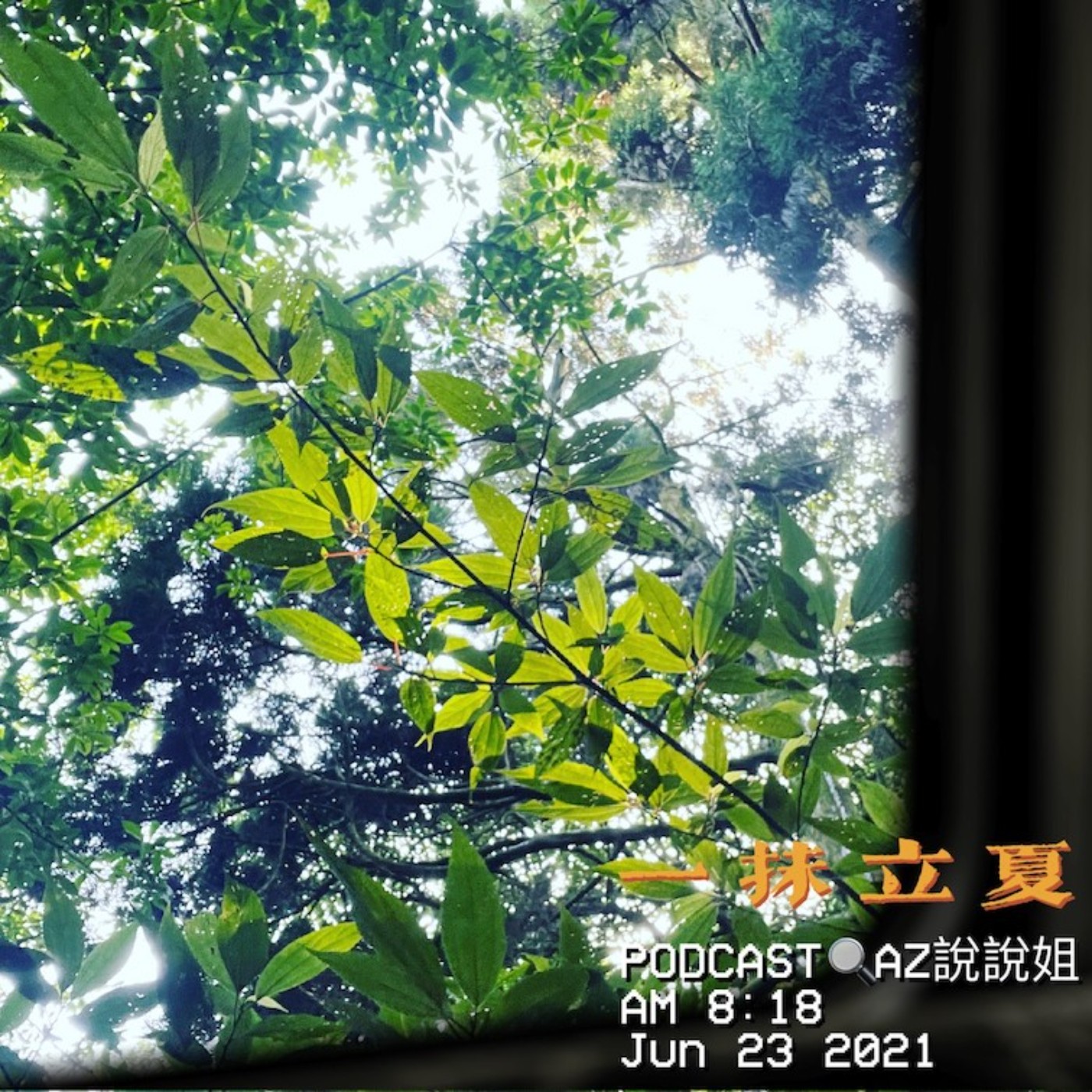 Ep.59 直銷派臉秋在這裡 episode artwork