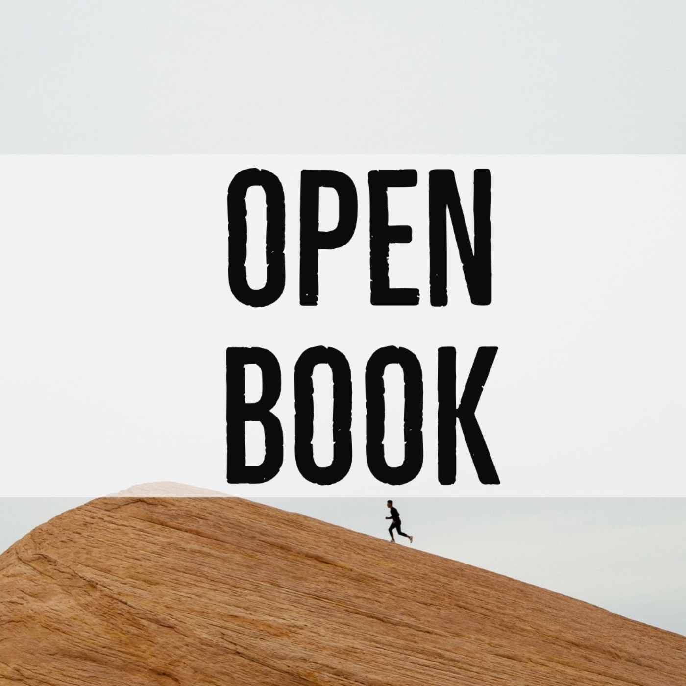 OPEN BOOK cover art