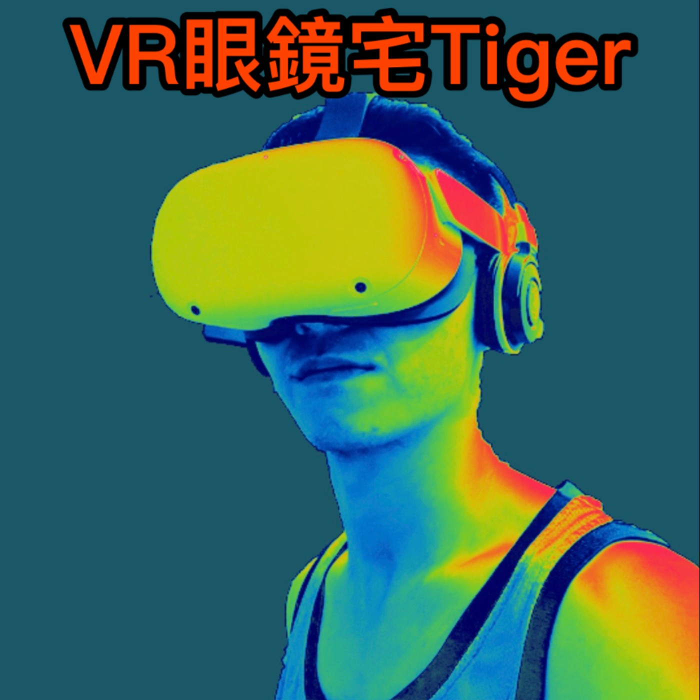 VR眼鏡宅Tiger