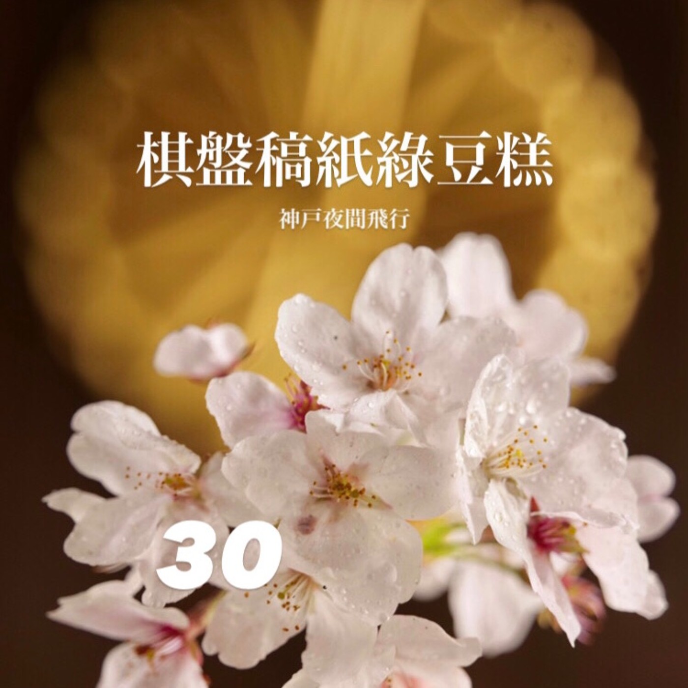 神戶夜間飛行