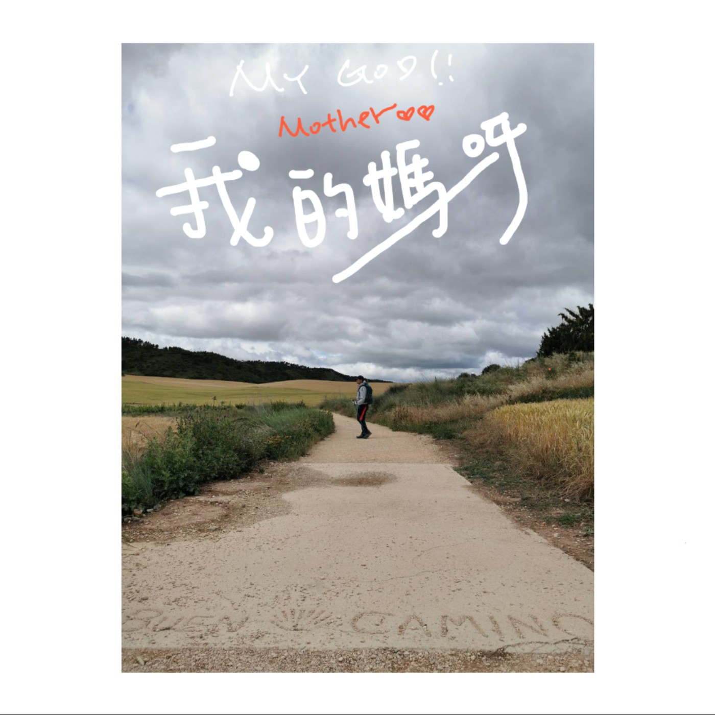 我的媽呀 ！Camino ？