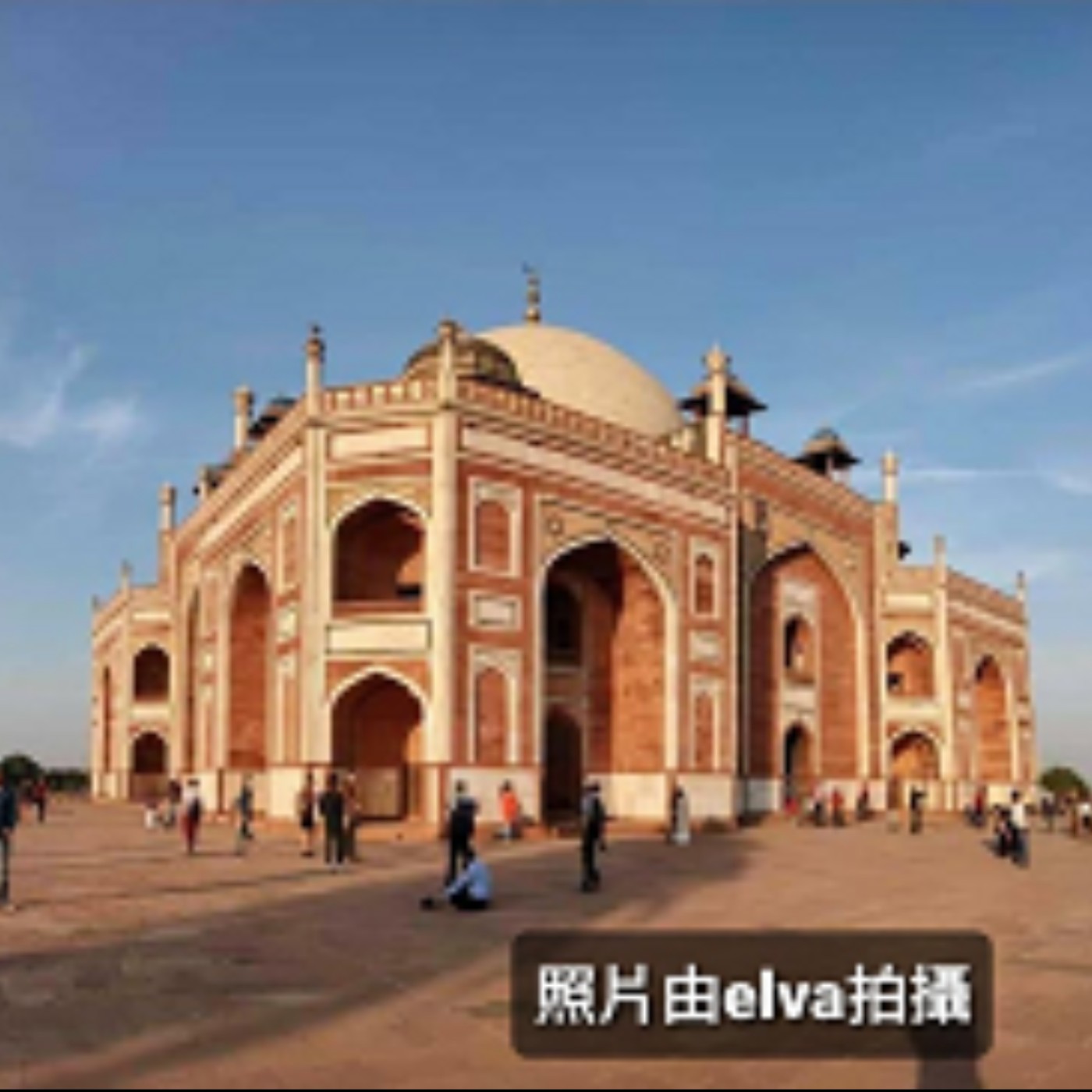 閱讀探戈 : 書富比鑑賞會