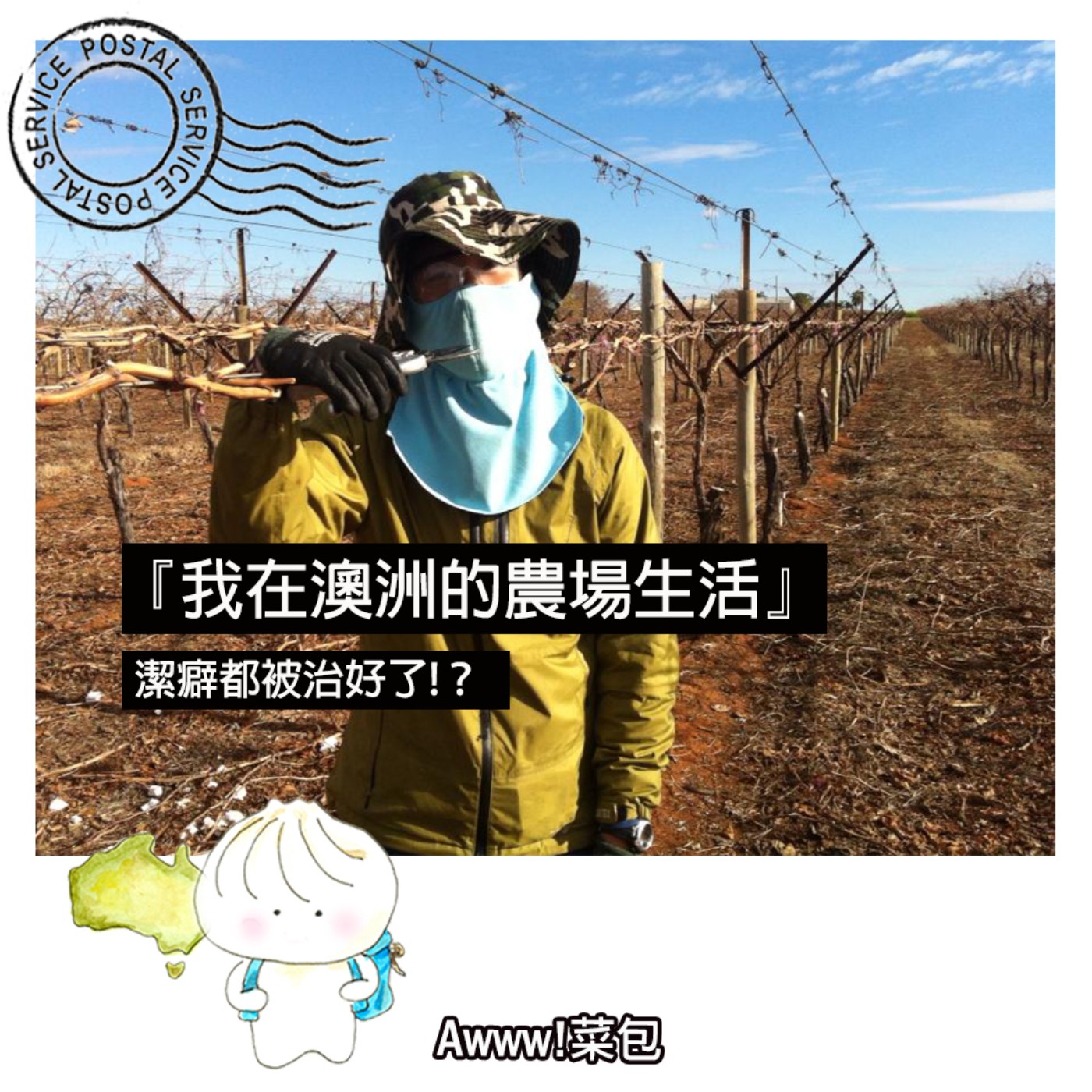 AWWW!菜包