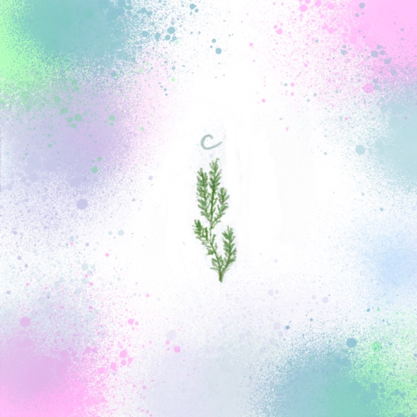 貓洞——第六隻貓的小貓崽C—塔羅占卜 episode artwork