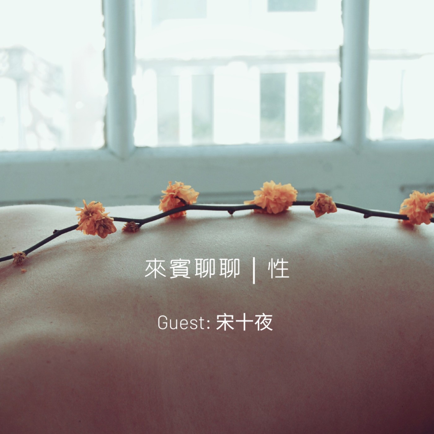 來賓聊聊｜性 episode artwork
