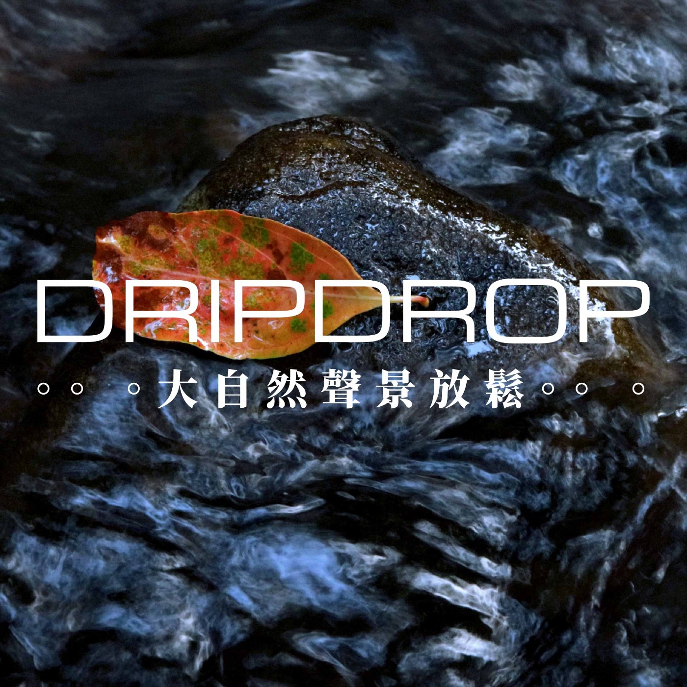 EP13 | 要是沒有落葉,何來的新葉呢 ?