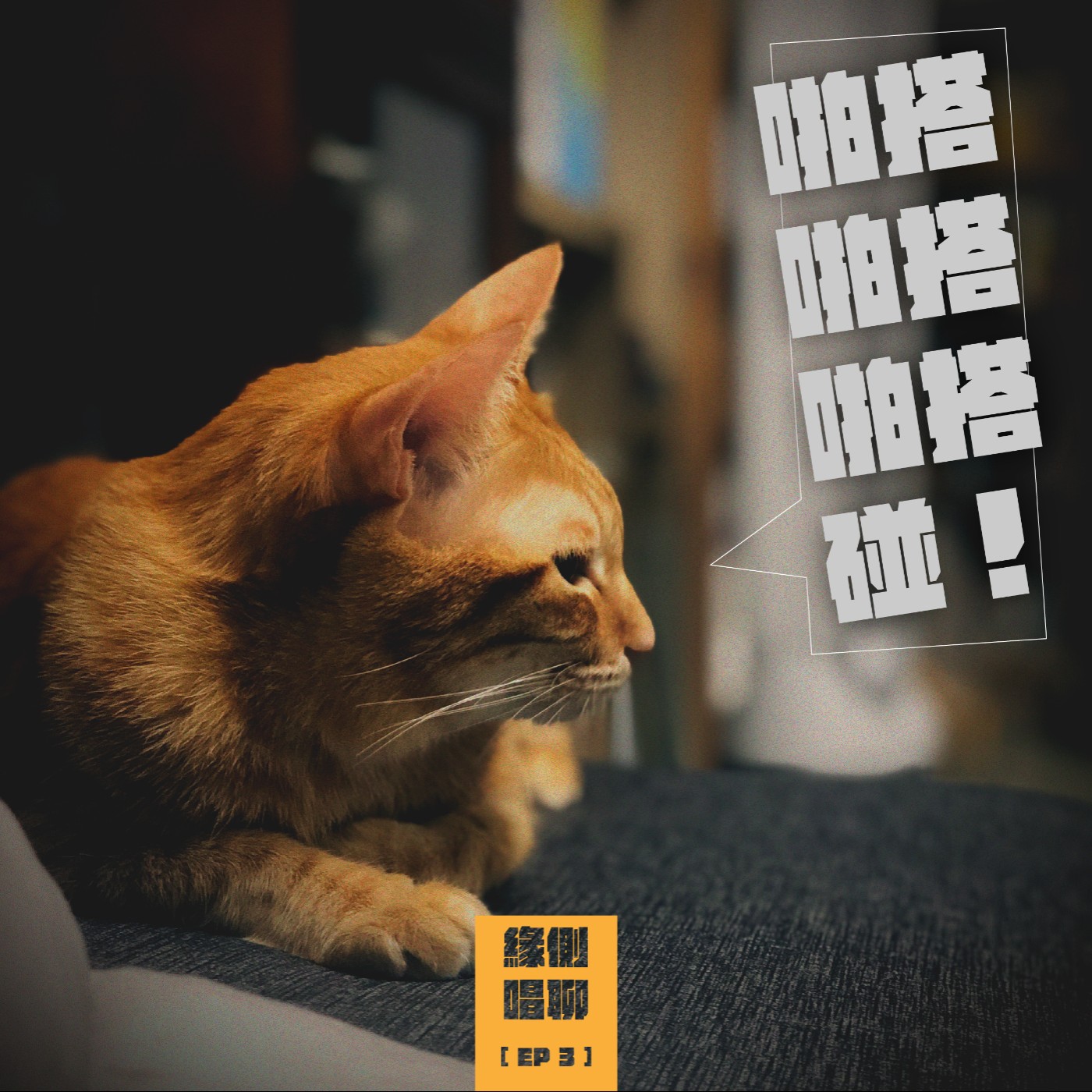 緣側唱聊