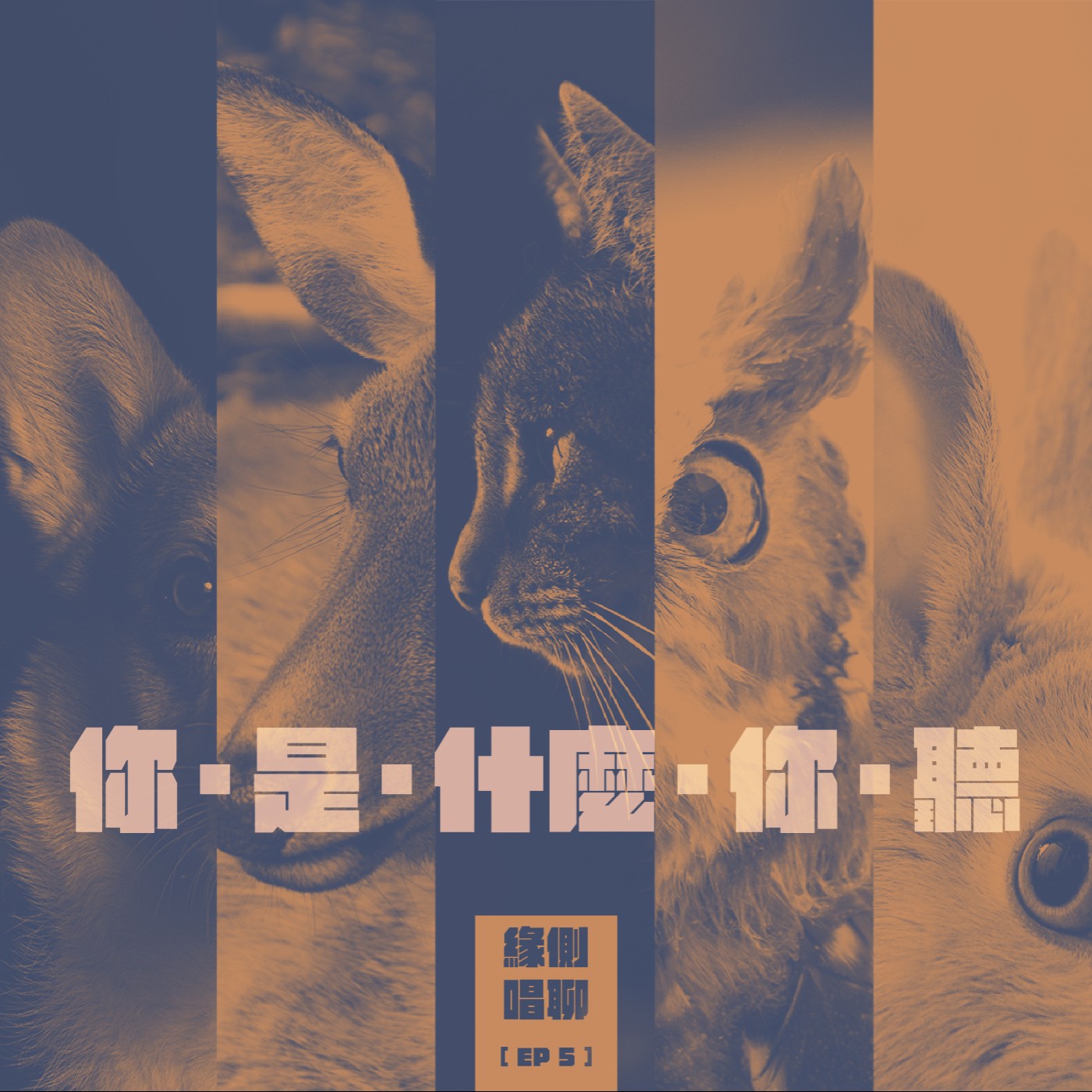 緣側唱聊