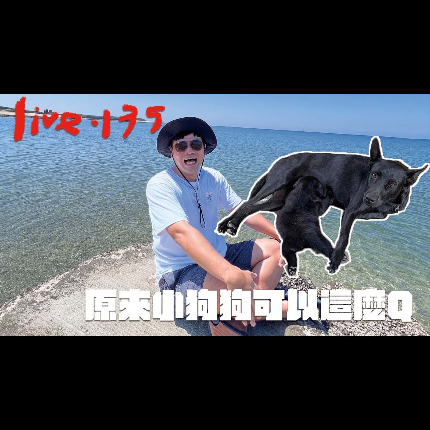 〔蔡哥直播〕#135 原來小狗狗可以這麼Q episode artwork