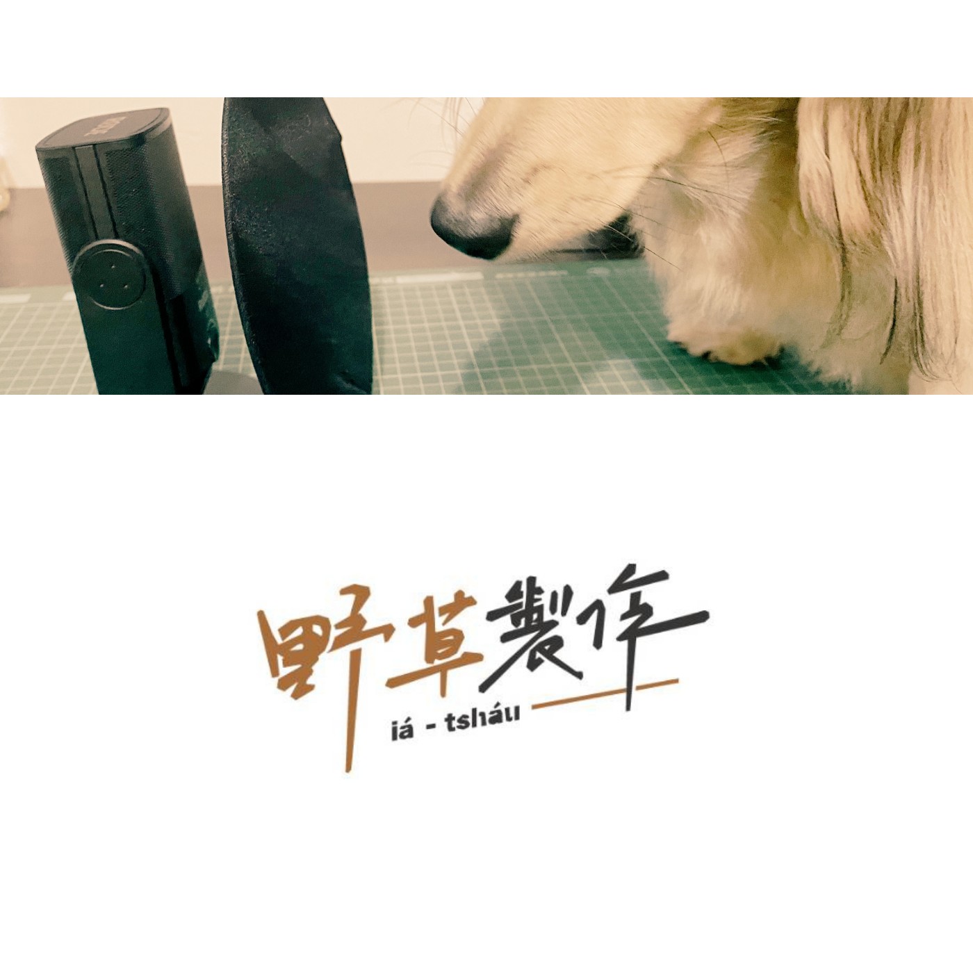 草鬧說書
