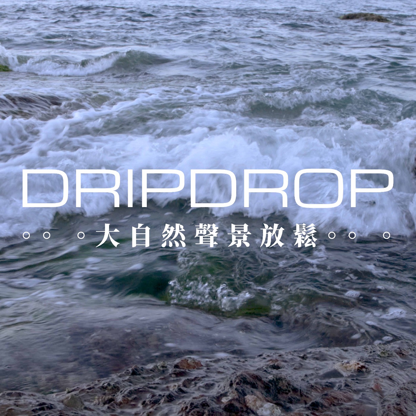 EP21 | 許多人釣了一輩子的魚,卻不知他們的目的不是為了魚。