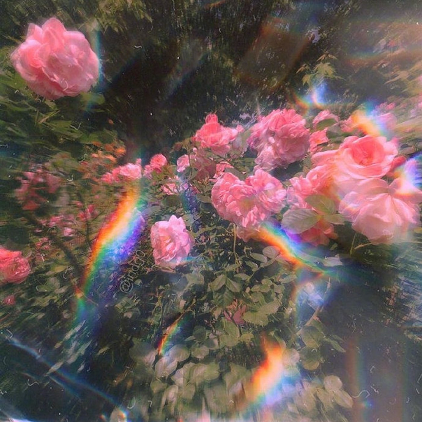 在我想到名字之前