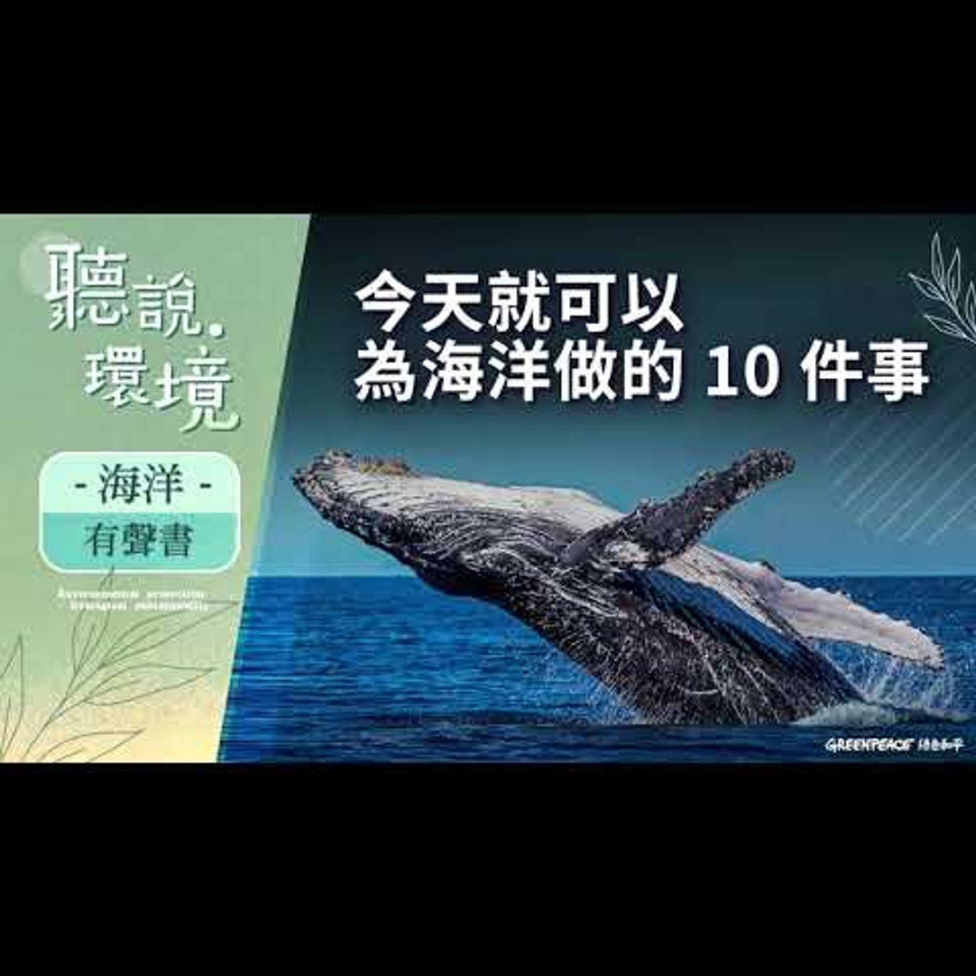 愛海洋不是說說而已,還要做到這些事