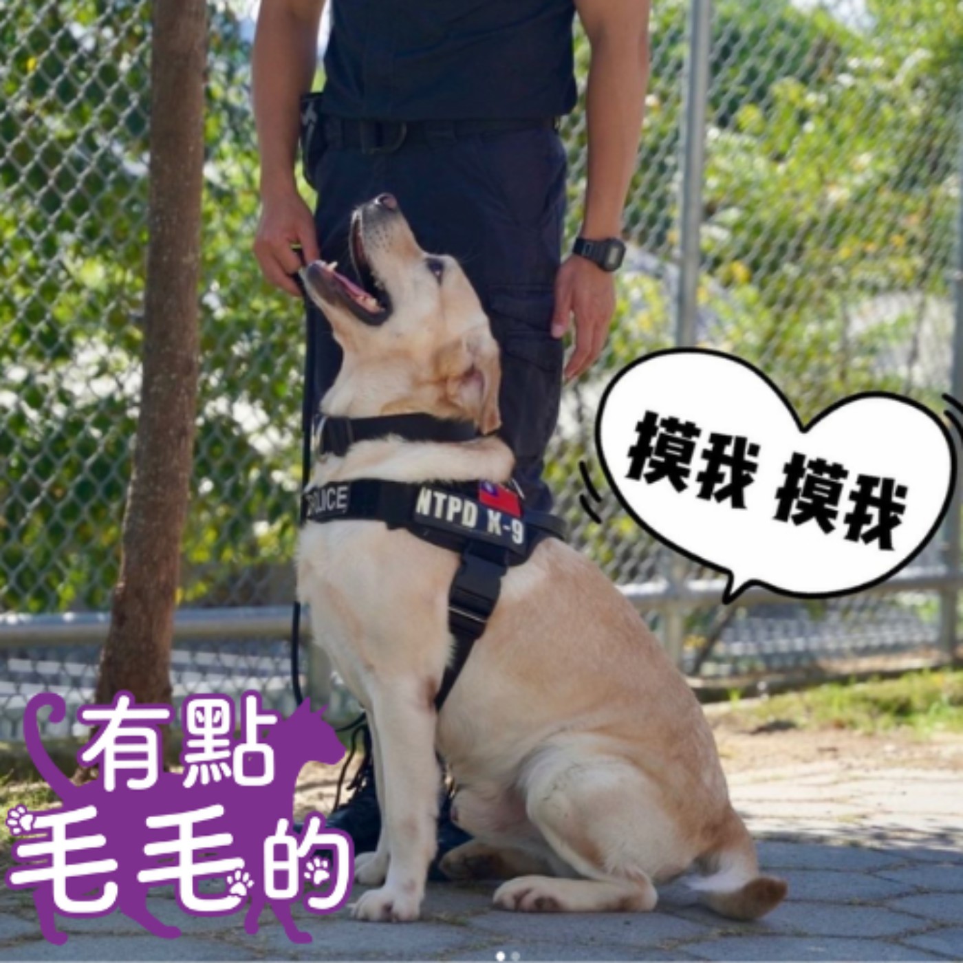 有點毛毛的